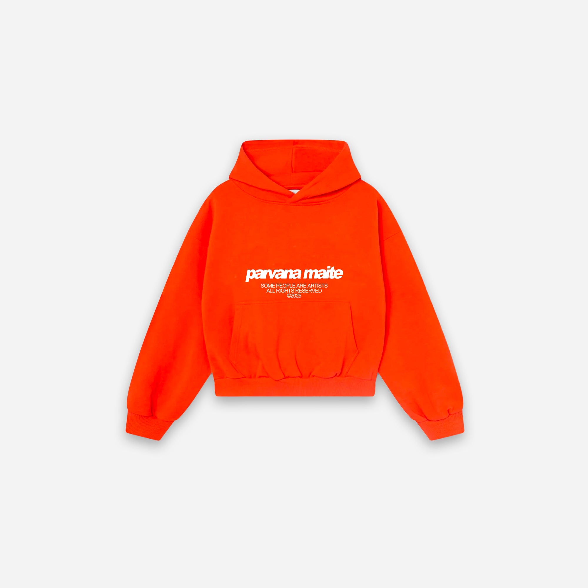 SOME PEOPLE ARE ARTISTS HOODIE